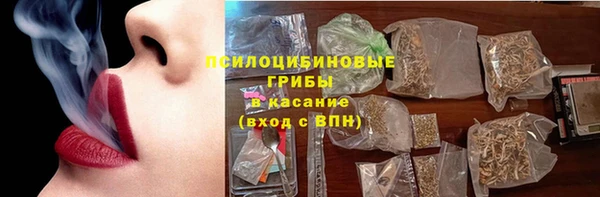 ГАЛЛЮЦИНОГЕННЫЕ ГРИБЫ Верхний Тагил