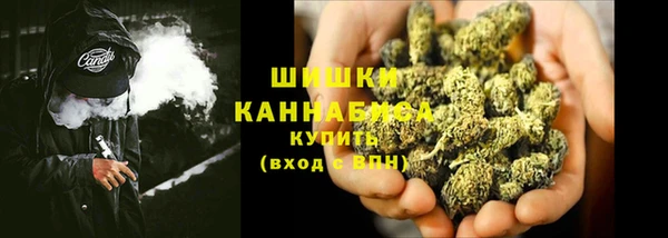 тгк Бронницы
