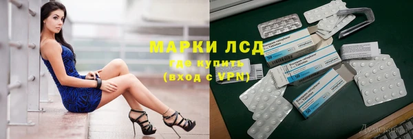 ПСИЛОЦИБИНОВЫЕ ГРИБЫ Бородино