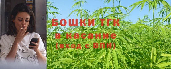 ПСИЛОЦИБИНОВЫЕ ГРИБЫ Бородино