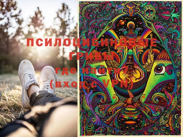 тгк Бронницы