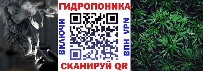 продажа наркотиков  Ростов  Канабис SATIVA & INDICA 
